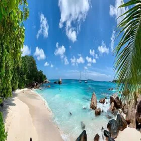 Tropical beach